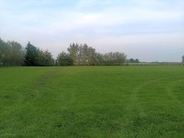 Our view across the site looking out to the farm.