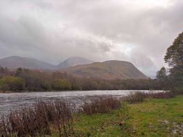 View immediately from our site