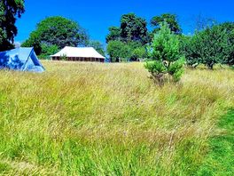 Field