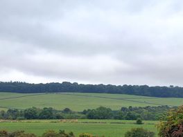 View from top field