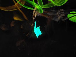 Nighttime glowstick fun with the children