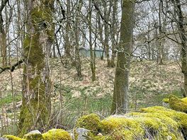 First view of the shepherd’s hut, hidden in the woods.