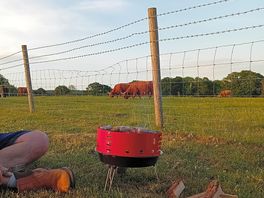 Cooking with a view