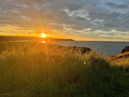 Sunset from just off site