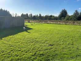 Plenty of space for kids and dogs