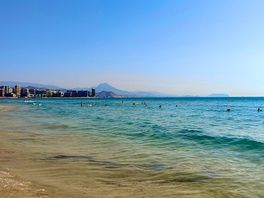 Mare el campello