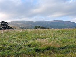 Brilliant views