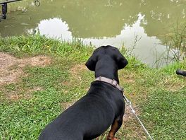 Max enjoying the view