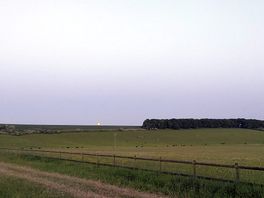 The view