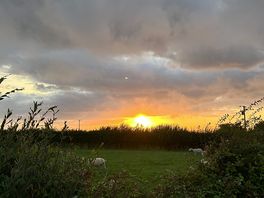 Sunset on the walk from new quay to the campsite