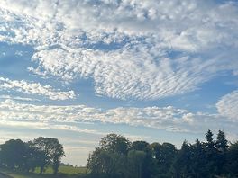 The view from the kitchen