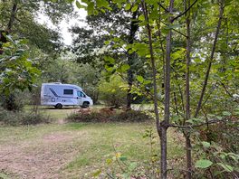 Secluded pitches
