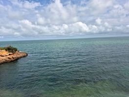 Views of the coves