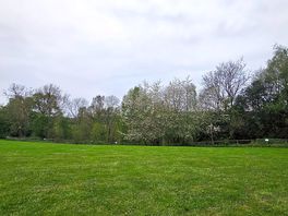 Peaceful