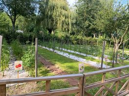 Allotment
