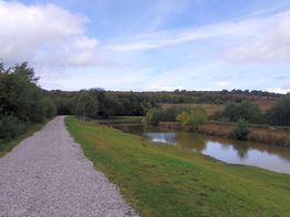 The site