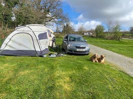 Happy campers