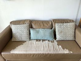 Sofa needs to go in bin