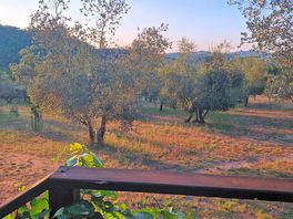 Ausblick vom haupthaus