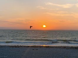 Beautiful sunsets