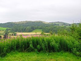 View from our pitch