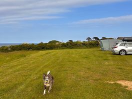 Dog friendly and sea views!