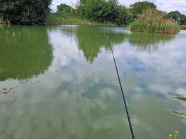 A beautiful pond to well stocked pond to fish in