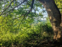 North downs way.... literally at the top of the campsite.... lovely stroll to the pub