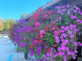 Hanging baskets outside the bat