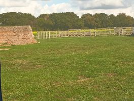 View across the site