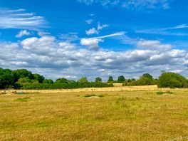 Beautiful open spaces perfect for bird spotting and attracting local wildlife