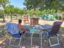 Relaxen in de schaduw van fruitbomen