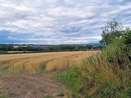 Peaceful surroundings
