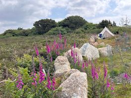 Our little bell tent fit in well with that space!