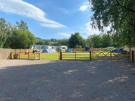 Pitches surrounded by trees