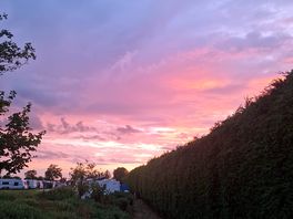 Gorgeous sunset