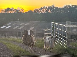Caught on our walk to the pub