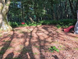 Wooded walk