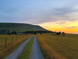 Track to the site during sunset