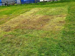 Level ground
