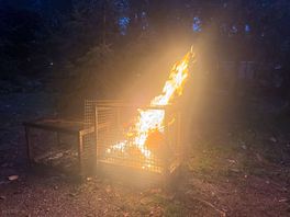 Fire