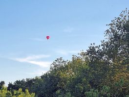 Hot air balloon