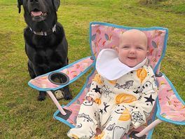 Phoebe enjoyed her first time camping