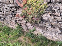 Dry stone wall at site entrance