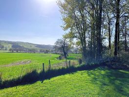 View from dog walk