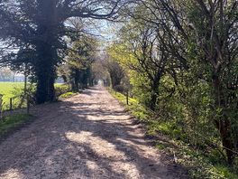 Lovely walk around the farm