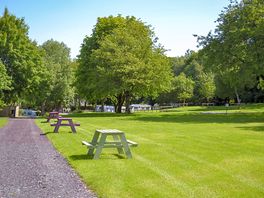Tent pitches and picnic tables