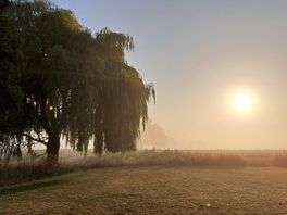 The early morning sun in the mist in august.