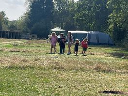 Kids enjoying the pitches