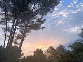 Paz y tranquilidad